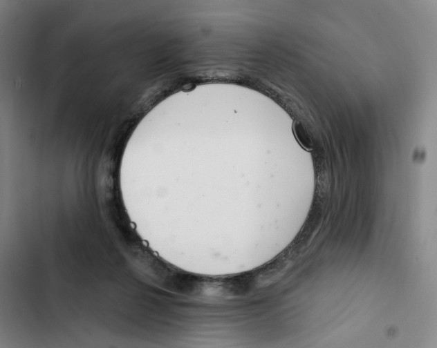 X0000102360264200808291232