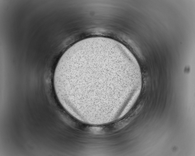 X0000102360265200808291232