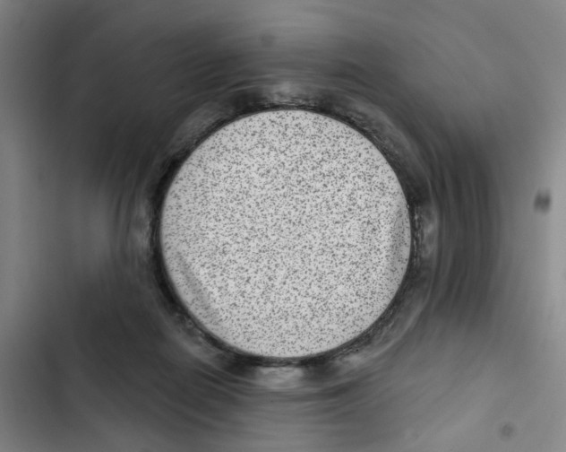 X0000102360266200808291232
