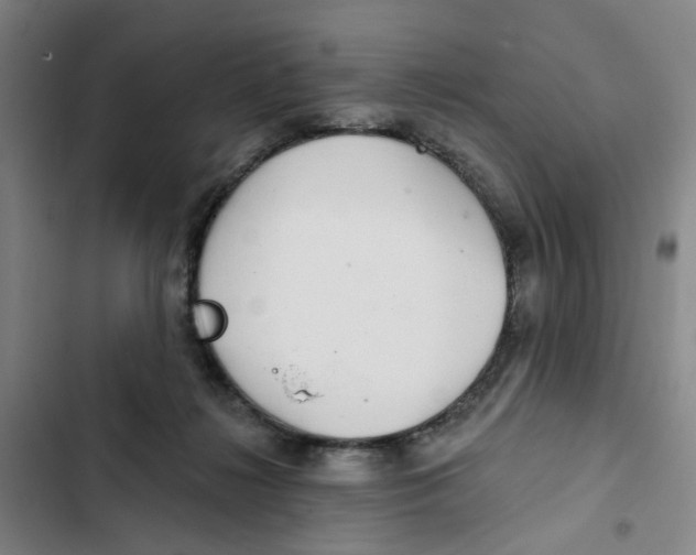 X0000102360268200808291232