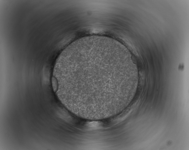 X0000102360269200808291232