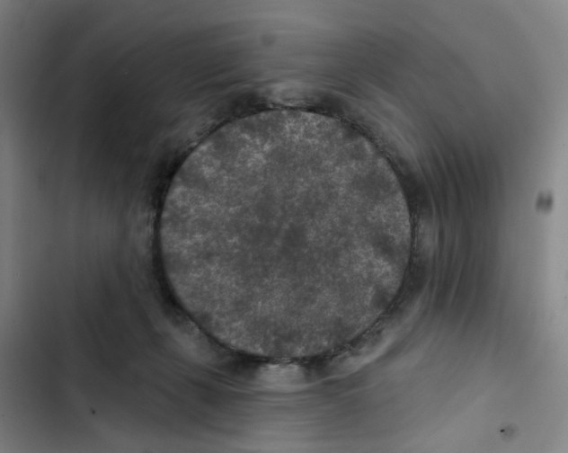 X0000102360271200808291232
