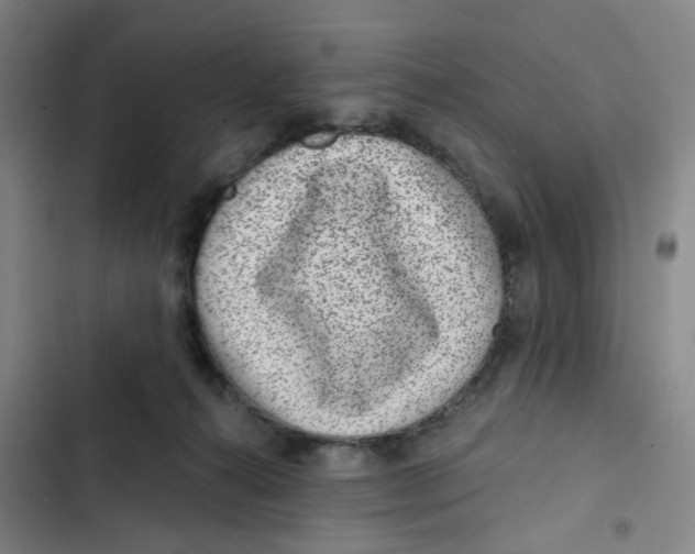 X0000102360272200808291232
