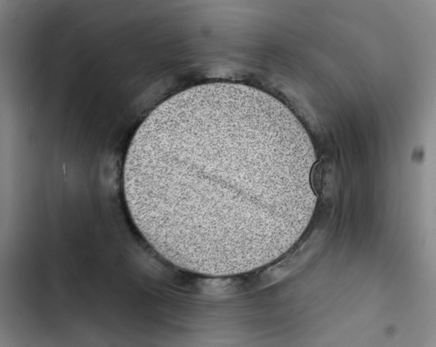 X0000102360273200808291232