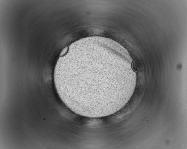 X0000102360274200808291232