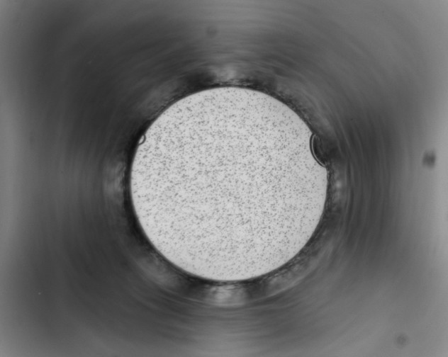 X0000102360275200808291232