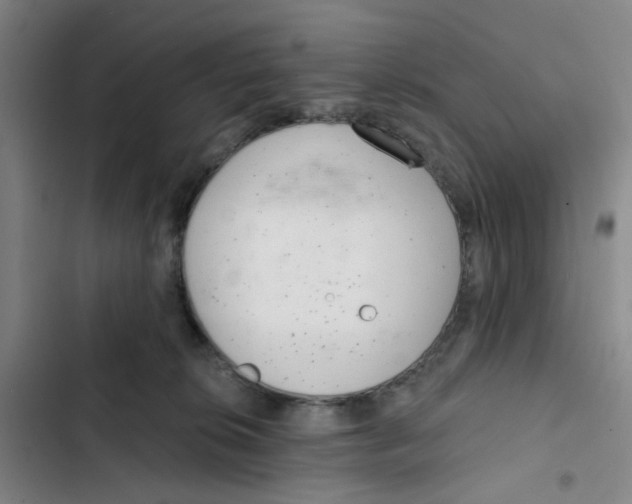 X0000102360276200808291232