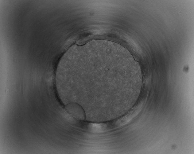 X0000102360277200808291232