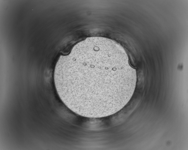X0000102360278200808291232