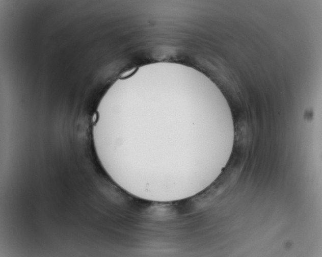 X0000102360280200808291232