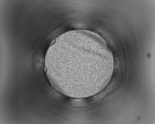 X0000102360281200808291232
