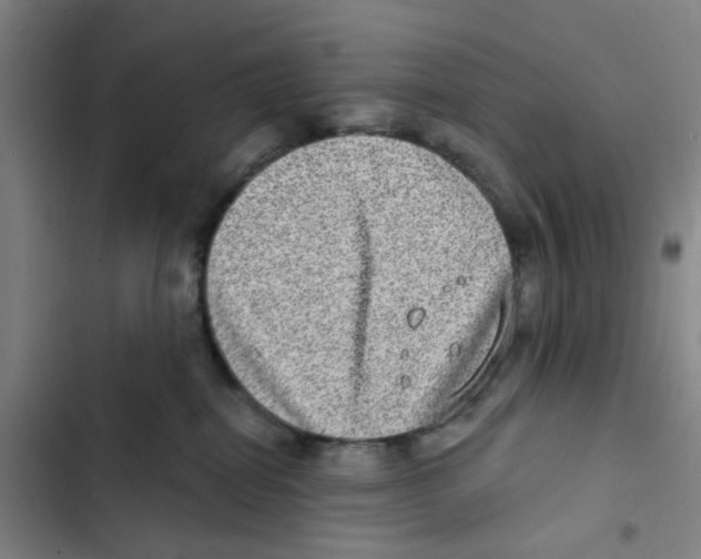 X0000102360282200808291232