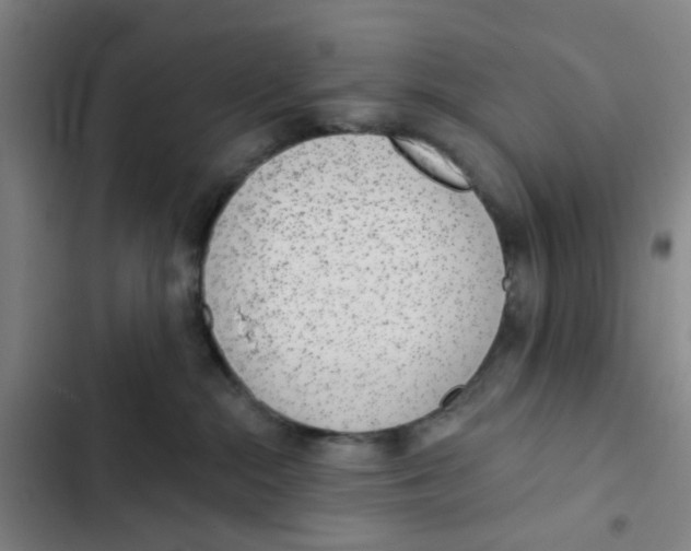 X0000102360284200808291232