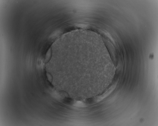 X0000102360285200808291232