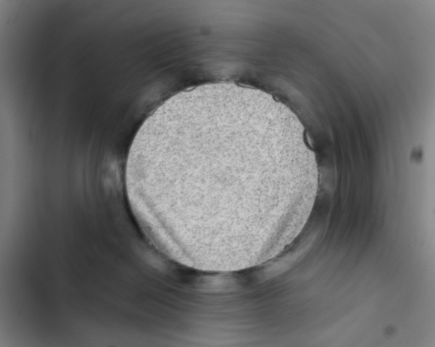 X0000102360286200808291232