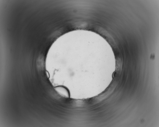X0000102360287200808291232