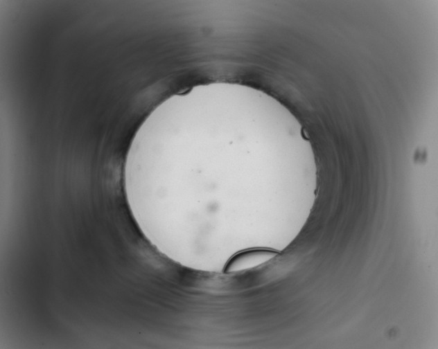 X0000102360288200808291232