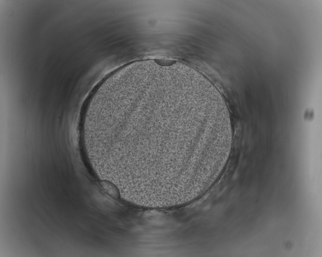X0000102360290200808291231