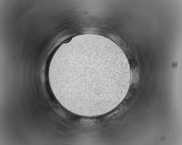 X0000102360291200808291231