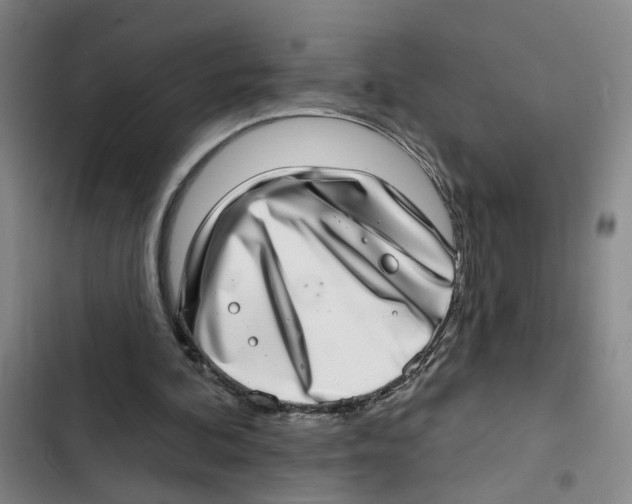 X0000102360292200808291231