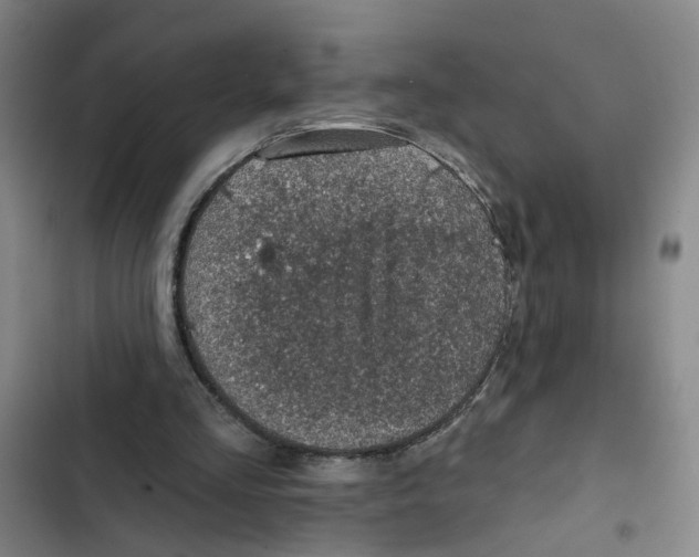 X0000102360293200808291231