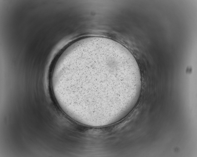 X0000102360294200808291231