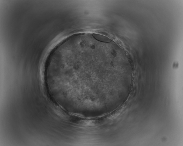 X0000102360295200808291231