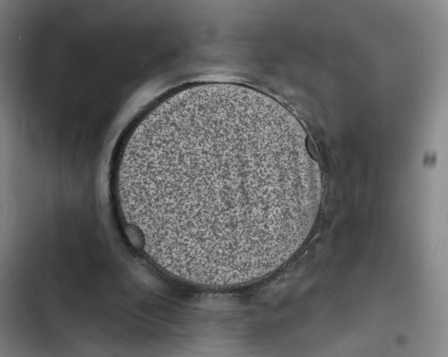 X0000102360296200808291231