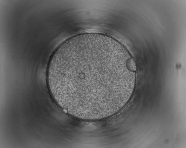 X0000102360297200808291231