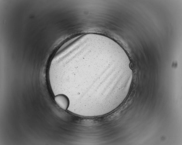 X0000102360298200808291231