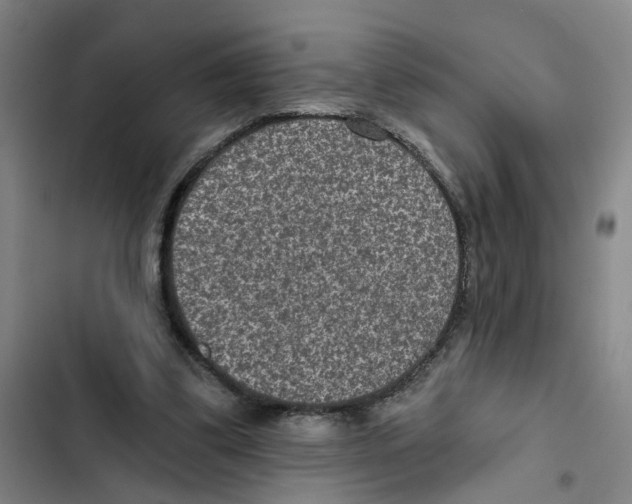 X0000102360299200808291231