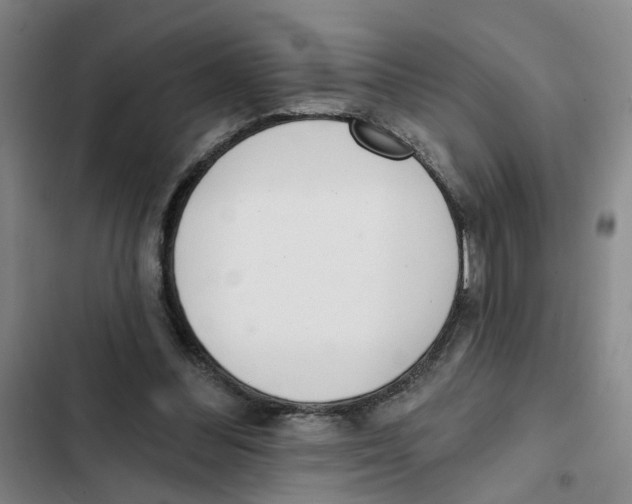 X0000102360300200808291231