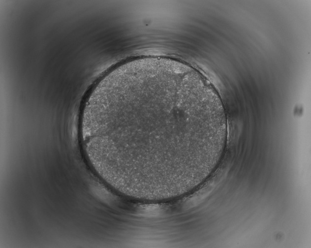 X0000102360301200808291231
