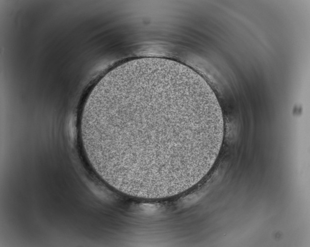 X0000102360302200808291231