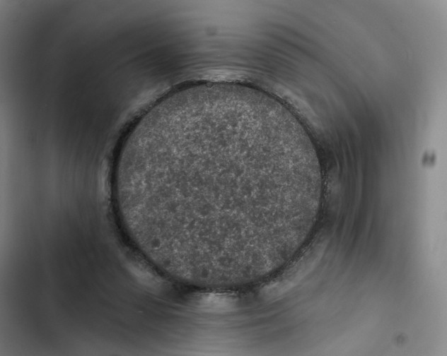 X0000102360303200808291231