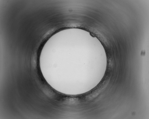 X0000102360304200808291231