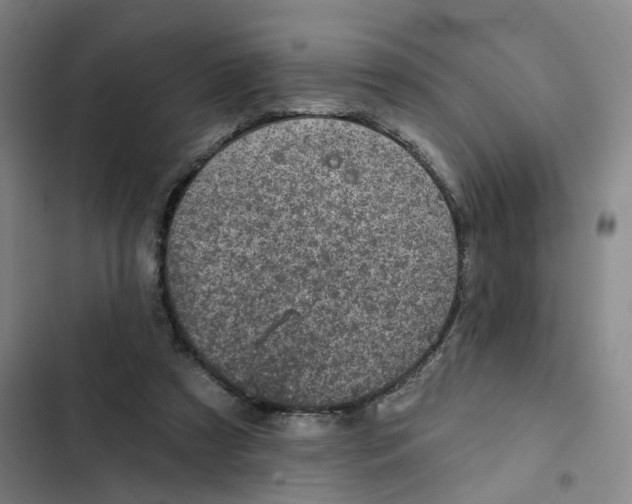 X0000102360305200808291231