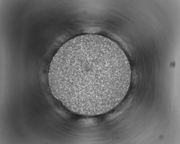 X0000102360307200808291231
