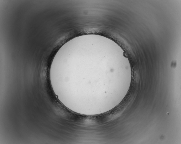X0000102360308200808291231