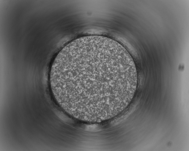 X0000102360309200808291231