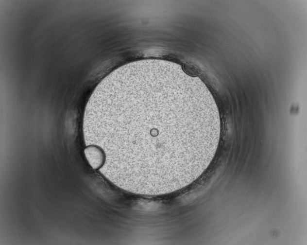 X0000102360311200808291231