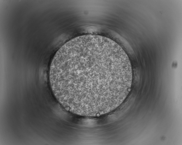 X0000102360313200808291231