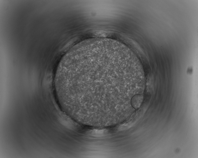 X0000102360314200808291231
