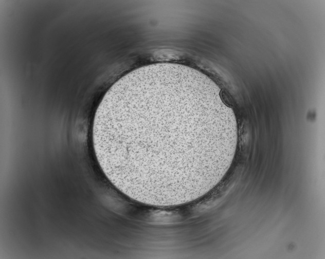 X0000102360315200808291231