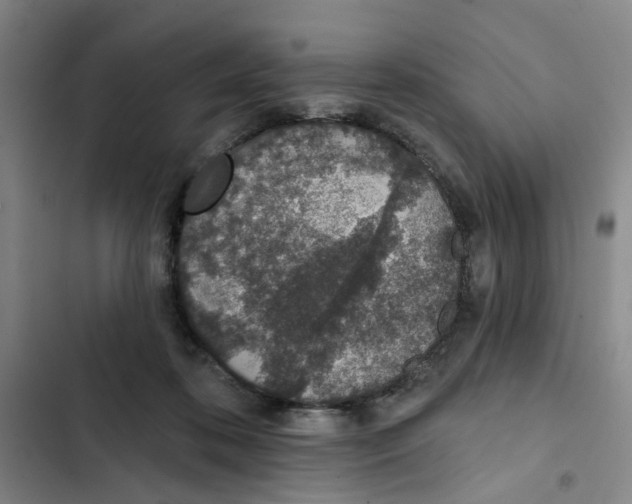 X0000102360316200808291231