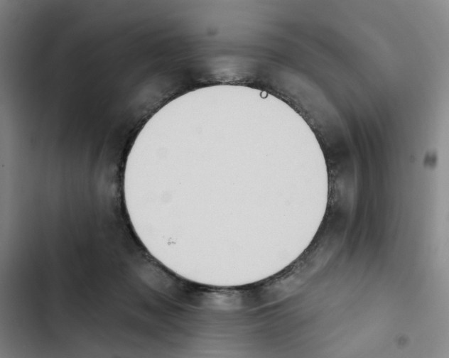 X0000102360317200808291231