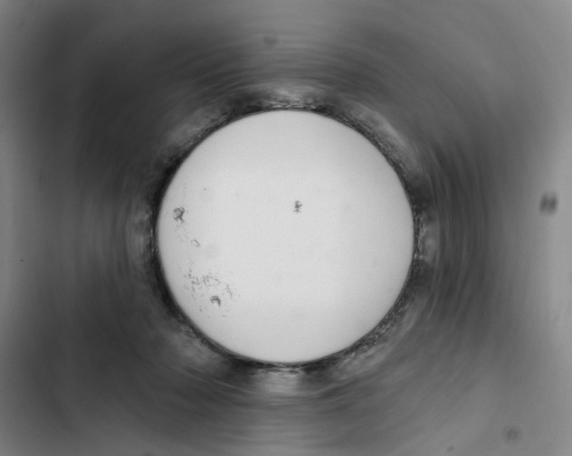 X0000102360318200808291231