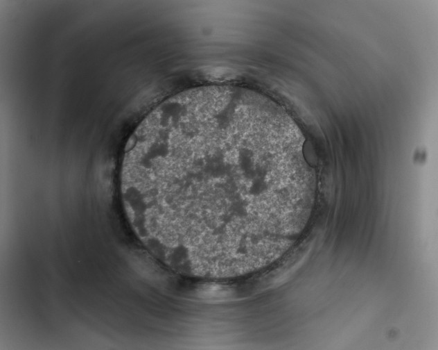 X0000102360319200808291231
