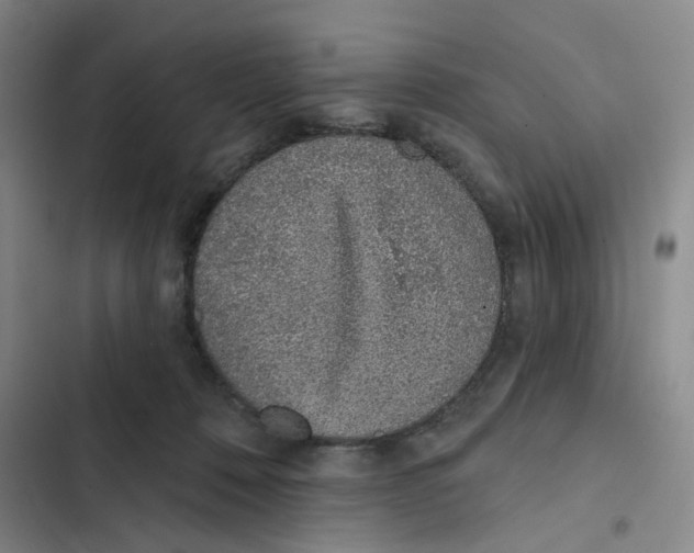 X0000102360320200808291231