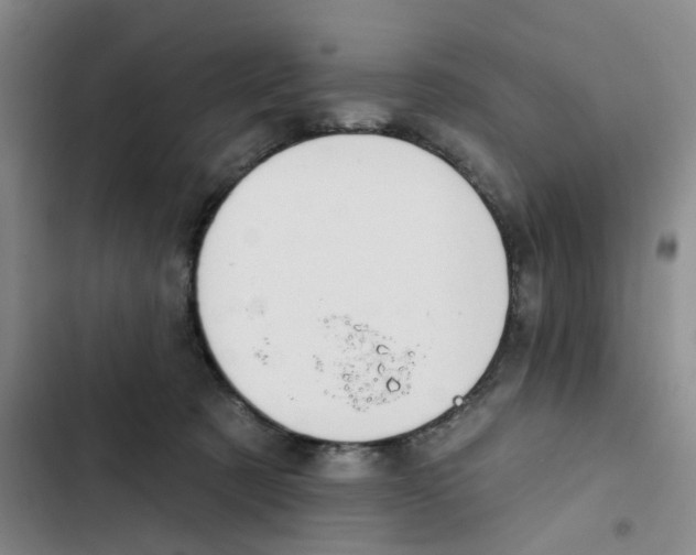 X0000102360321200808291231